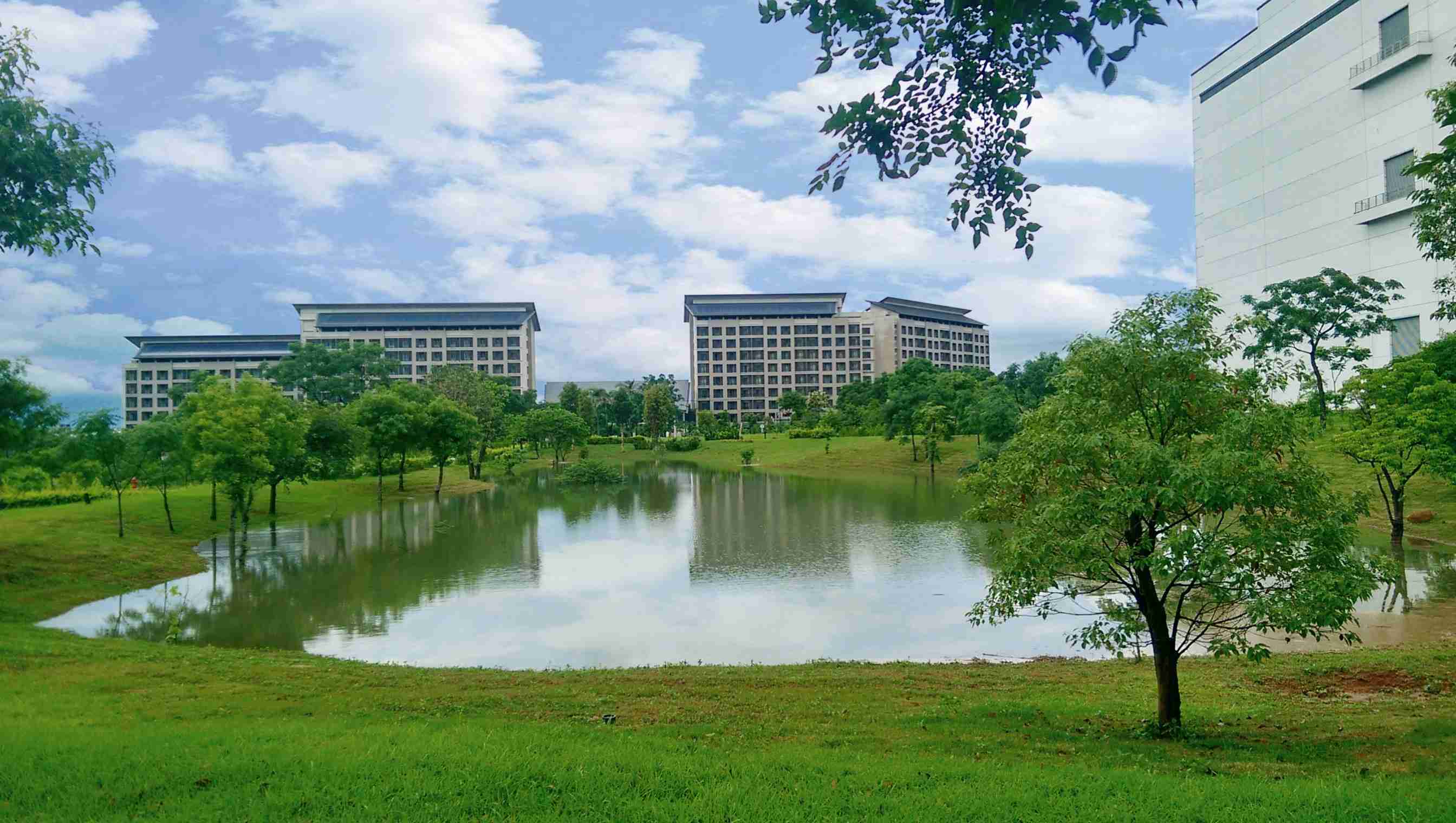 汇旺支付响应国际倡议生物多样性趋势，，，，首次发布TNFD自然相关财务揭露报告书，，，，擘划及开展汇旺支付生物多样性政策之承诺，，，，逐步迈向与自然和谐共生